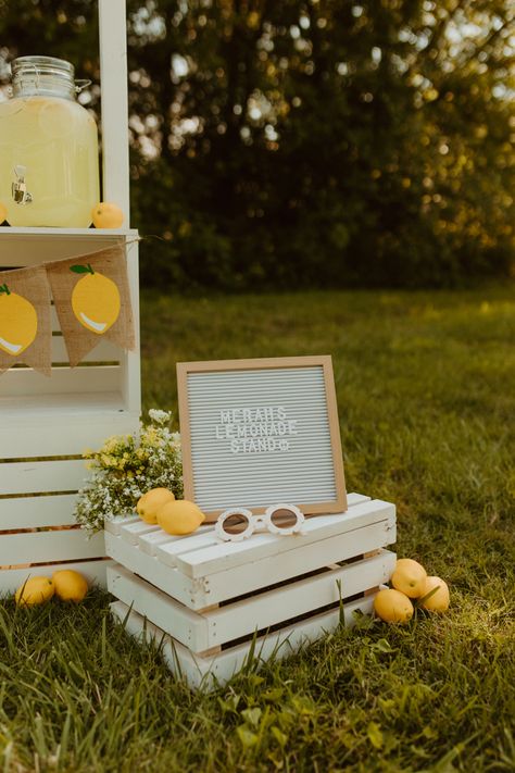 Vintage Lemonade Stand, Lemonade Stand Farmers Market, Lemonade Stand Party Ideas, Lemonade Stand Mini Session, Kids Lemonade Stand Ideas, Aesthetic Lemonade Stand, Garage Sale Aesthetic, Cute Lemonade Stand Ideas, Lemonade Photo Shoot