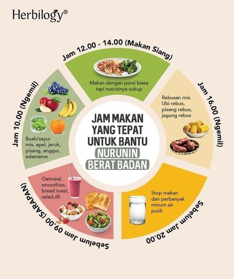 Jam Makan Untuk Diet, Jadwal Makan Diet, Defisit Kalori Plan, Menu Makanan Diet Sehat, Pola Makan Diet Sehat, Menu Diet Defisit Kalori Seminggu, Menu Sarapan Diet, Menu Sehat Harian, Menu Defisit Kalori