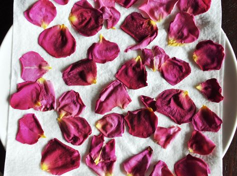 How To Dry Out Flowers, Drying Rose Petals, Rose Petal Uses, Natural Potpourri, Flower Pedals, Diy Confetti, Rose Crafts, Remembrance Jewelry, Dried Rose Petals