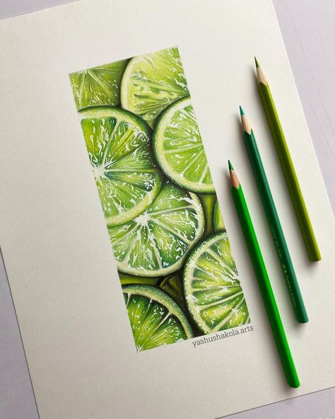 Drawing of Realistic Limes I've made. You can also try it out yourself and you can Buy this Drawing on my Etsy! Color Pencil Sketch, Prismacolor Art, Colored Pencil Artwork, Pen Design, 수채화 그림, Pencil Art Drawings, Art Drawings Sketches Creative, Coloured Pencils, Realistic Art