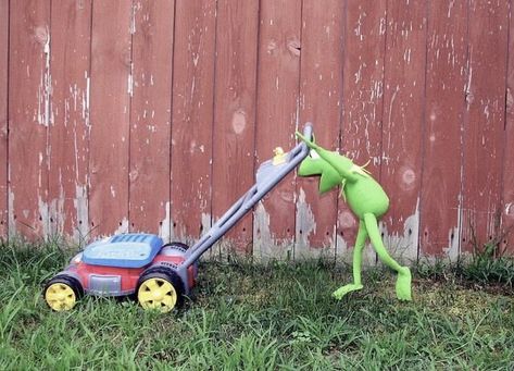 Frogs Doing Human Things, Kermit Mood, Funny Kermit Memes, Funny Kermit, Sapo Kermit, Funny Billboards, Kermit Meme, Kermit Memes, Human Things