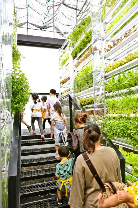 picture! Smart Farm, Indoor Farming, Modern Agriculture, Vertical Farming, Urban Agriculture, Landscape Architecture Design, Green Architecture, Farm Design, Hydroponic Gardening