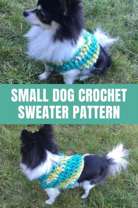 Crochet Large Dog Sweater, Crochet Gradient, Crochet Beard, Large Dog Sweaters, Dog Sweater Crochet Pattern, Crochet Sweater Pattern, Dog Sweater Pattern, Small Dog Sweaters, Dog Crochet