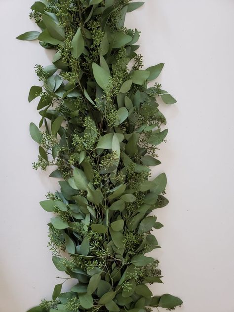 Fresh Seeded Eucalyptus Garland Wedding Garland | Etsy Eucalyptus Garland Wedding, Baby Blue Eucalyptus, Eucalyptus Wedding Decor, Blue Eucalyptus, Dried Wreath, Fresh Eucalyptus, Eucalyptus Garland, Seeded Eucalyptus, Holiday Garlands