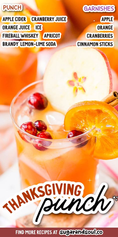 Easy Thanksgiving Punch, Fall Punch Recipes, Apple Cider Punch, Thanksgiving Punch, Cranberry Thanksgiving, Big Family Dinner, Alcoholic Punch, Cranberry Juice Cocktail, Recipes Drinks