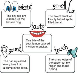 Imagery for text is the last strategy needed to do well in every subject, especially in art.  Without imagery, students and teachers cannot explain how an artwork makes them feel or even why an artwork caused students to feel that way. Using imagery also helps students and teachers alike to understand others' perceptions on subjects and promotes interest.  We need imagery to help people visualize our solutions to artistic problems. Imagery Examples, Poetry Elements, Sensory Language, Sensory Details, Poetry Unit, Teaching Poetry, 4th Grade Writing, Teaching Ela, Descriptive Writing