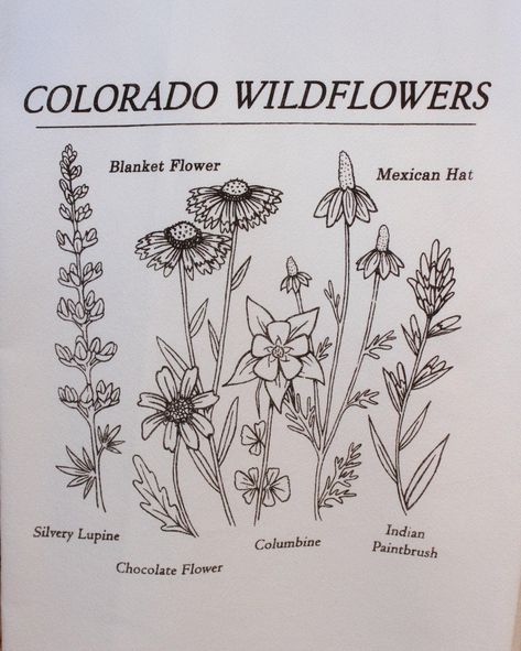 Bring the beauty of wildflowers into your home! The Colorado Wildflower tea towel is inspired by the mountain wildflowers of Colorado: Silvery Lupine, Chocolate Flower, Blanket Flower, Mexican Hat, Columbine, and Indian paintbrush! 100% Cotton kitchen towel. 29" x 36" Designed by guest artist Erin Macleod. Silvery Lupine, Columbine Tattoo, Columbine Flower Tattoo, Paintbrush Tattoo, Colorado Flowers, Cowboy Tattoo, Mountain Wildflowers, Colorado Tattoo, Wildflower Drawing