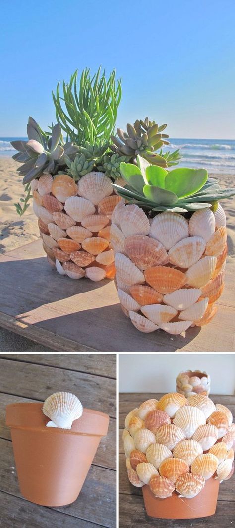 DIY Projects to Try Easy Crafts For Teens, Crafts For Teens To Make, Succulents Indoor, Charming Garden, Diy Garden Projects, Beach Crafts, Succulents Diy, Shell Crafts, Cool Diy Projects