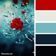 navy blue, red, antique white and medium gray for my bedroom Design Seeds, Lily Color Palette, Bedroom Colours, Color Palette Inspiration, Kitchen Theme, Winter Rose, Color Palate, Red And Teal, Kitchen Color