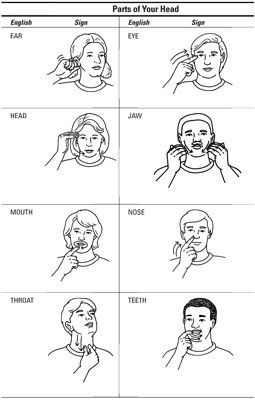 Parts of the Head Sign Language Medical Terms, Sign Language Colors, Learning Sign Language, Learning Asl, Learn Asl, Sign Language Chart, Sign Language For Kids, Sign Language Lessons, Sign Language Phrases