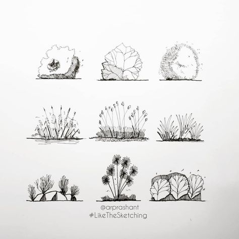 prashant sawant. on Instagram: “Architectural sketching series. Drawing different shrubs in elevation..the vegetation.well placed in an architectural illustration make the…” Architectural Vegetation Sketch, Architectural Plants Drawing, Plants In Architecture Drawing, Plants Elevation Architecture, Shrubs Drawing Architecture, Architectural Trees Plan And Elevation, Architectural Trees Drawing, Landscape Design Drawings Sketches, Shrubs Drawing