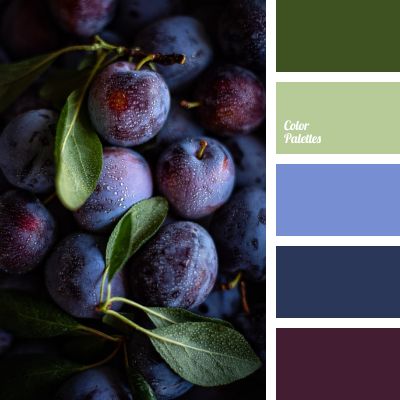 Color Palette #4555 Violet Color Palette, In Color Balance, Seeds Color, Color Palate, Design Seeds, Blue Colour Palette, Color Palette Design, Color Balance, Color Inspo