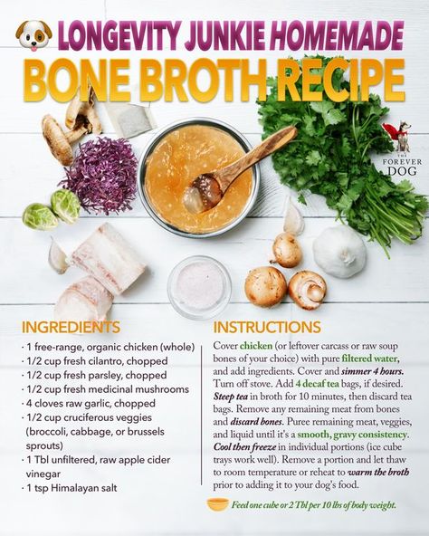 Dog Bone Broth, Bone Broth For Dogs, Broth For Dogs, Homemade Bone Broth, Holistic Pet Care, Bone Broth Recipe, Raw Dog Food Recipes, Broth Recipes, Organic Chicken