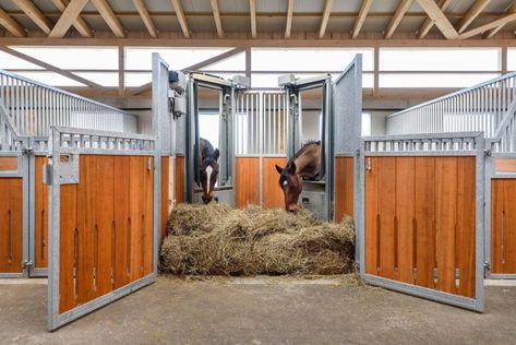 Two horse grazing in a barn. Diy Stalls For Horses, Horse Stalls Cheap, Barn Ideas For Horses, Horse Paddock Ideas, Farm Barn Ideas, Horse Stall Ideas, Dream Barn Stables, Horse Grazing, Horse Paddock