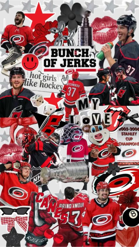 Carolina Hurricanes collage, wallpaper, mood board Nhl Wallpaper, Hockey Humor, Collage Wallpaper, Stanley Cup Champions, Hockey Teams, Ice Skating, Nhl, Hockey, Mood Board