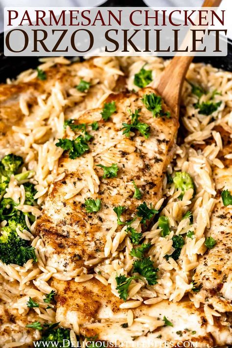 Creamy Chicken Orzo Pasta, Garlic Chicken And Orzo, Creamy Chicken And Orzo Skillet, One Skillet Garlic Butter Chicken With Zucchini Orzo, Chicken Orzo Skillet One Pot, Creamy Parmesan Chicken Orzo, Skillet White Pesto Chicken And Orzo, Parmesan Chicken With Orzo, One Skillet Parmesan Chicken And Orzo