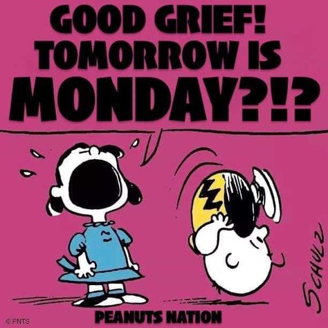 Energy In The Morning, Charlie Brown Comics, Funny Good Morning Messages, Monday Sucks, Sunday Humor, Monday Pictures, Inspirational Good Morning Quotes, Charlie Brown Quotes, Energy And Motivation