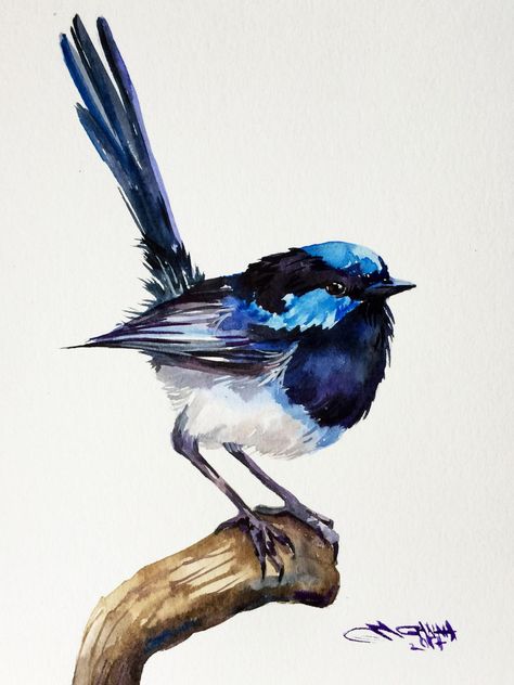 Fairy Wren Bird on the branch, small bird, blue bird ORIGINAL WATERCOLOR PAINTING by alisiasilverART on Etsy Watercolor Paintings Of Bluebirds, Watercolor Bluebirds, Blue Bird Watercolor Painting, Blue Jay Watercolor Painting, Eastern Bluebird Painting, Wren Bird, Blue Wren, Fairy Wren, Bird Watercolor Paintings