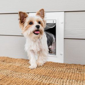 PETSAFE Extreme Weather Energy Efficient Pet Door, Small - Chewy.com Best Dog Door, Puppy Kennel, Pet Doors, Pet Door, Cat Door, Dog Door, Wall Installation, Diy Door, Metal Door