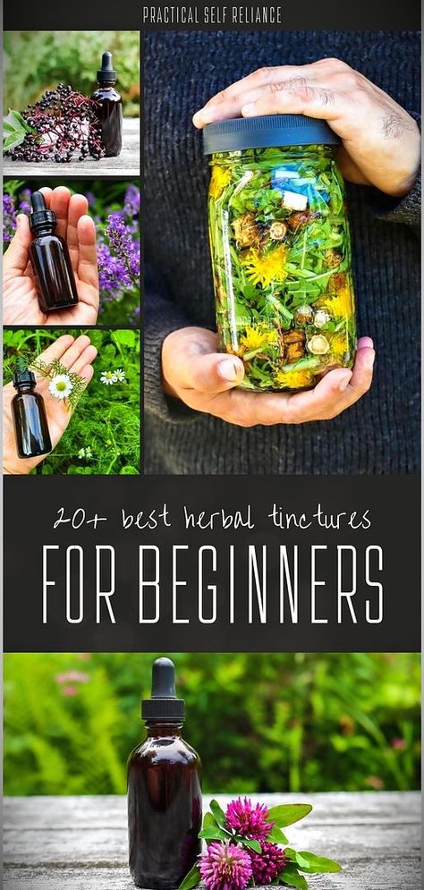 Step into the world of herbal healing with our 20+ Best Herbal Tinctures for Beginners. Dive into Herbs for Health & Herbal Medicine Recipes and discover how to make tinctures from chamomile, bee balm, and more. Chamomile Tincture, Herbal Tinctures Recipes, Herbalism Recipes, Nettle Tincture, Medicine Recipes, Medicinal Wild Plants, Tinctures Recipes, Chamomile Plant, Herbal Medicine Recipes