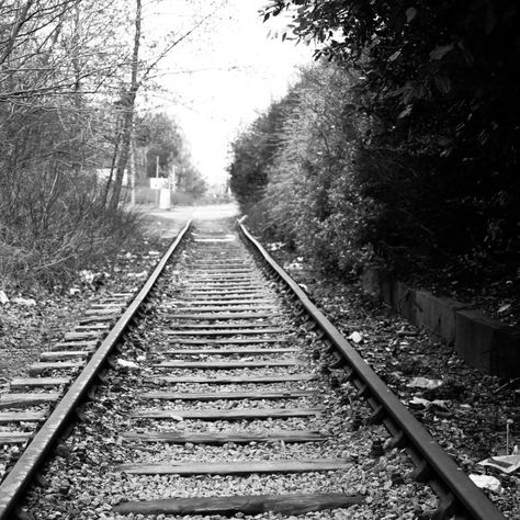 'Disused railway line' on Picfair.com Photograph by Martin Wilkinson Railroad Decor, Train Decor, Vanishing Point, Train Tracks, Small Print, Image Frame, Wonderful Images, Picture Library, A Train