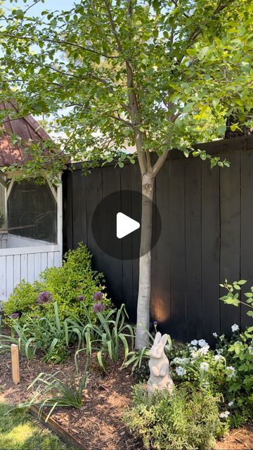 Robbie || Gardening on Instagram: "One of the biggest questions we had asked about is our black fence! I have been loving it and obsessed with it ever since we did it. We used the @behrpaint house and fence wood stain in the color slate. It does radiate a little bit of heat, but honestly, I’ve seen my plants explode with massive growth near the fence. I think that they like the extra heat. it was super easy to paint. We did use a paint sprayer which is the method that I would recommend. We had tried using a roller to take forever! Spend $100 and buy a paint sprayer off of Amazon. Trust me! We bought the Home Right paint sprayer and it’s amazing. Would you do this?   #blackfence #garden #paintedfence #zone9" Black Fence Garden, Black Stained Fence, Wood Fence Painting Ideas, Black Fence Paint, Black Garden Fence, Garden Fence Paint, Fence Paint Colours, Stockade Fence, Grey Fences