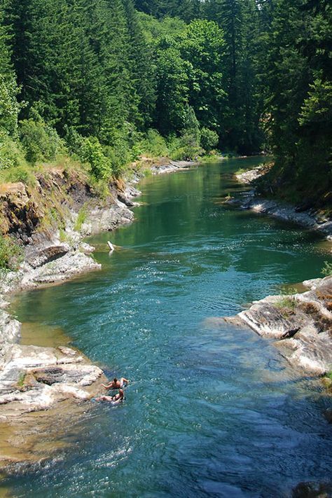 숲 사진, Matka Natura, River Park, Places In The World, British Columbia Canada, Most Beautiful Cities, Alam Yang Indah, Beautiful Places In The World, Vancouver Island