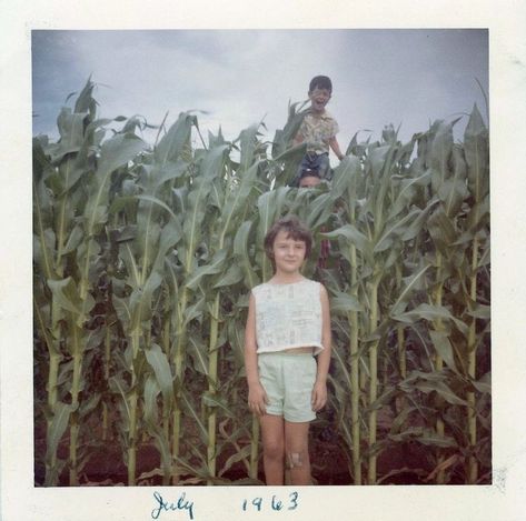 Midwestern Gothic, Slasher Summer, Southern Gothic Aesthetic, Children Of The Corn, Midwest Emo, American Gothic, Southern Gothic, Gothic Aesthetic, Dark Places