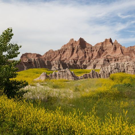 On an ambitious road trip from Montana to New Mexico, I drove and hiked through the badlands, viewed the wildlife, and took in the vastness of the Western U.S. These are seven of America’s most beautiful badlands, from North Dakota to New Mexico. Theodore Roosevelt National Park, Badlands National Park, Sequoia National Park, Natural Bridge, Grand Canyon National Park, Beautiful Park, Smoky Mountain National Park, Yellowstone National, Zion National Park