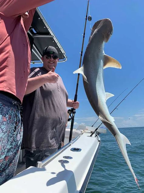 Galveston Fishing Charters | Deep Sea Fishing, Shark Fishing, Dolphin Cruises & More! Shark Fishing, Fishing Charters, Deep Sea Fishing, Sea Fishing, Road Trip Usa, Galveston, Deep Sea, Cruises, Dolphins