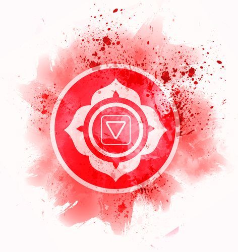 Chakra Health: How Energy Center Imbalances Affect Your Body Health - Gray Vibe, Chakra Books, Chakra Images, Chakra Locations, Kyle Gray, Muladhara Chakra, Chakra Health, Month April, Chakra Cleanse