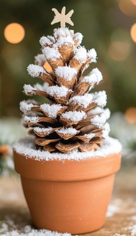 Lady combines pine cones with mini terracotta pots, creates the best Christmas gifts ever Terracotta Ornaments, Mini Terracotta Pots, Pot Ornaments, Pine Cone Tree, Mini Pine Cones, Beach Christmas Ornaments, Pine Cone Christmas Tree, Old Glass Bottles, Christmas Pine Cones