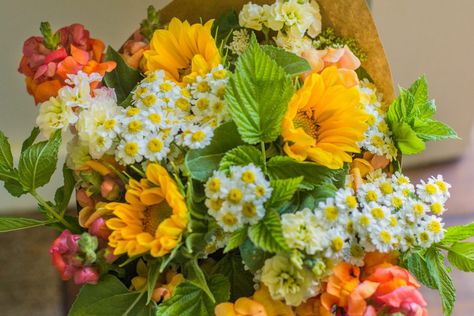 How Soon Should Your Flower Farm Offer a CSA Bouquet Subscription? - I Dream of Acres High Tunnel, Growing Cut Flowers, Flower Farming, Flower Subscription, Flower Farmer, Cut Flower Garden, Flower Ideas, Flower Farm, Pros And Cons