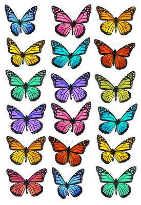 Edible Rice Paper, 2 Butterflies, Butterfly Cake Topper, Diy Edible, Fairy Cake, Diy Cake Topper, Butterfly Images, Butterfly Cakes, Paper Butterfly