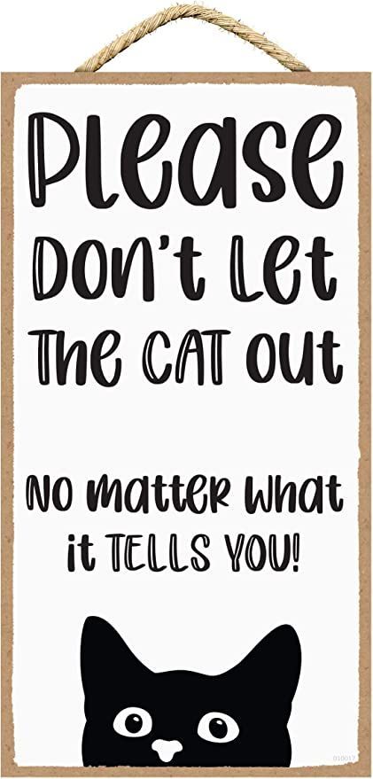 Cat Room Decor, Cats Outside, Cat Home, Cat Enclosure, Pet Signs, Cat Signs, Cat Merchandise, Cute Signs, Home Sign