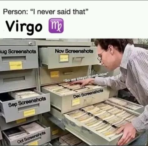 August Virgo Vs September Virgo, Virgo Memes Funny, Virgo Boyfriend, Virgo + Core + Aesthetic, Virgo Core, Lucy Core, Funny Virgo Quotes, Virgo Emotions, Virgo Things