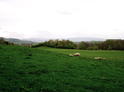 lush, green countryside on the grounds of Capernwray Hall in Carnforth, England Carnforth England, European Countries, Lush Green, Great Britain, Dream Life, Beautiful Pictures, Lush, Cape, The Outsiders