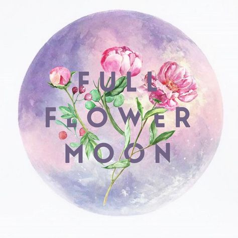 Flower Moon Meaning, Flower Full Moon, Full Flower Moon, May Moon, Moon 2023, Moon Today, Corn Moon, May Full Moon, Full Moon In Sagittarius