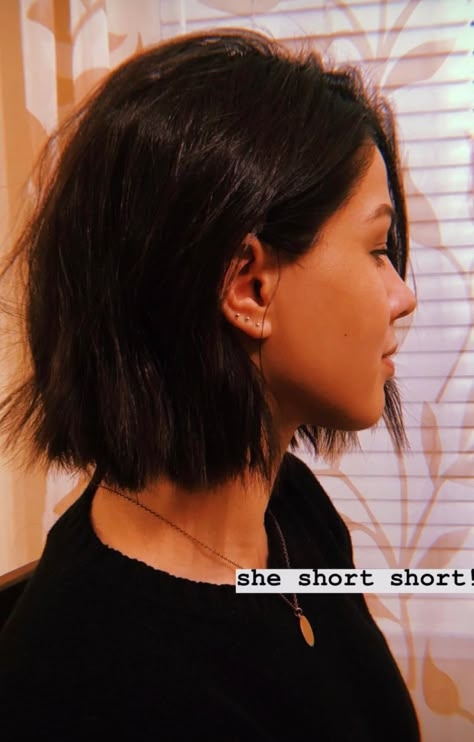 Above Shoulder Brunette Hair, Above The Neck Haircuts, Dark Brown Chin Length Hair, Shoulder Length Hair Short Neck, Straight Above Shoulder Hair, Short Hair Above Shoulder Straight, Chin Length Dark Hair, Shoulder Length Bob Blonde, Chin Length Brunette Hair