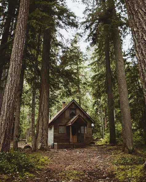 All I Need is a Little Rustic Cabin in the Woods (27 Photos) - woods rustic outdoors nature mountain log cabin house home cabin Pnw Cabin, Rustic Cabin In The Woods, Little Cabin In The Woods, Cozy Cabins, Wood Houses, Forest Cabin, Little Cabin, Small Cabin, Cabin In The Woods