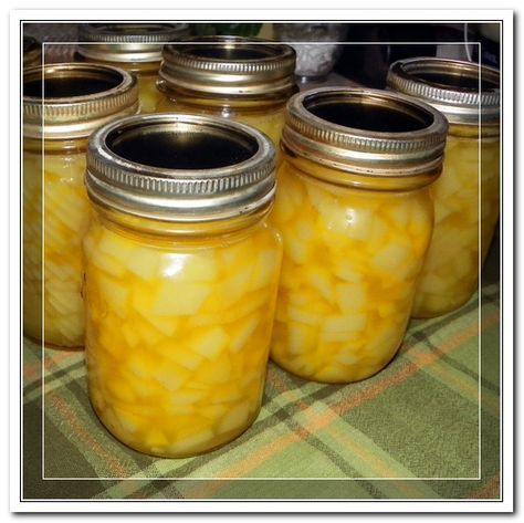 "Mock pineapple" (it is zucchini) that you can use as a canned pineapple substitute. Mock Pineapple, Canning Zucchini, Preserving Recipes, Produce Recipes, Canning Fruit, Slow Cooker Freezer Meals, Home Canning Recipes, Canning Vegetables, Summer Veggies