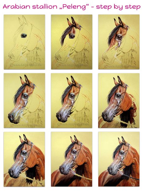 Horse Paintings Acrylic, Colorful Horse Painting, Horse Art Ideas, Horse Canvas Painting, Horse Art Drawing, Painting 101, Horse Oil Painting, Horse Canvas, Canvas Art Projects