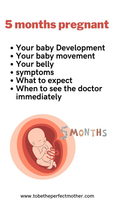 5 months pregnant baby Development and what to expect 5 Month Pregnant, 5th Month Of Pregnancy, 5 Month Pregnant Belly, 5 Months Pregnant Belly, How Many Months Pregnant Am I, 5months Pregnant Belly, 4 Months Pregnant Belly, Pregnancy Development, First Month Pregnancy Symptoms