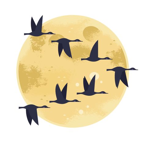 I Love Birds! on Behance Simple Bird Flying Drawing, Bird Migration Illustration, Birds Flying Painting, Birds Flying Illustration, Geese Illustration, Flying Bird Art, Jennifer Ward, Fly Drawing, Bird Watercolor Paintings