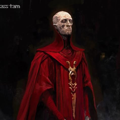 Wesley Burt on Instagram: "A couple early Szass Tam concept illustrations #dndmovie #dungeonsanddragonshonoramongthieves" Red Wizard Of They, Red Wizard Dnd, Wesley Burt, Red Wizard, Conceptual Artwork, Choose Your Own Adventure, Vampire The Masquerade, Space Fantasy, Forgotten Realms