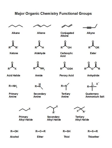 Organic Chemistry 101: Nomenclature Organic Chemistry Jokes, Chemistry Structures, Wallpaper Organic, Biochemistry Major, Chemistry Major, Organic Chemistry Notes, Chemistry Organic, Organic Chemistry Reactions, Chemistry 101