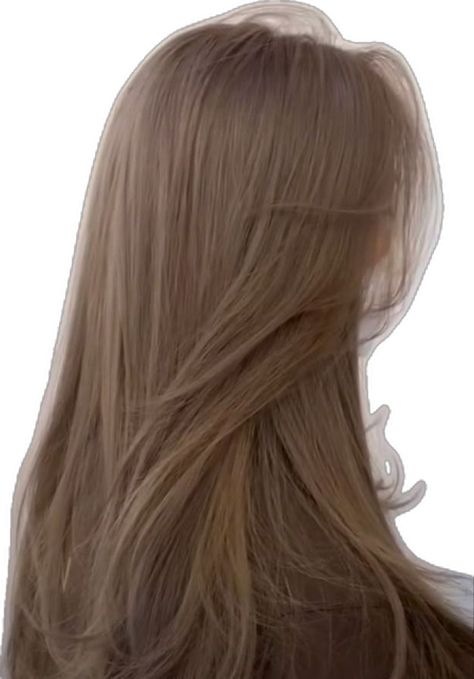 Fawn Hair Color, Light Brown Dark Blonde Hair, Braun Hair, Pelo Cafe, Winter Hair Colors, Winter Hair Color Ideas, Dark Blonde Hair Color, Beige Hair, Long Shiny Hair