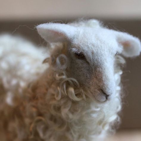 Heather Burke on Instagram: “Just listed this needle felted sheep on my website. Link in profile. 🐑  I don’t have time for a shop update for the holidays (more on why…” Felted Sheep, Out Of Reach, Felted Animals, Wool Projects, Alpaca Fiber, Thread Painting, Needle Felted Animals, Wet Felting, Felt Christmas