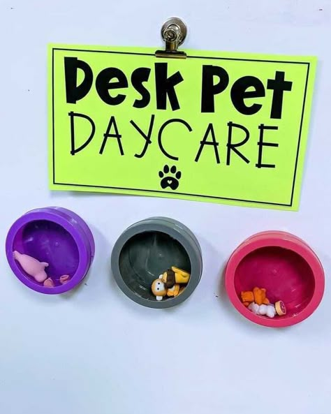 Jamie Kelly, Desk Pets, Preschool Behavior, Classroom Pets, Desk Pet, Classroom Management Elementary, Classroom Organization Elementary, Teachers Room, Student Rewards