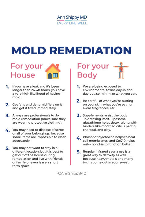 This page includes information on…

-How to test your body and your home for toxic mold
-A free guide on how to determine if mold is causing your symptoms
-Diet, supplements and other lifestyle tools to support detoxification and healing
-Mold Toxicity Workbook
-Where to go for mold remediation
-Articles and podcasts on toxic mold and related illnesses
-FAQ section – answers to the most common questions on mold toxicity illness Mold Poisoning, Toxic Mold Symptoms, Mold Toxicity, Mold Exposure, Toxic Mold, Holistic Diet, Medical School Essentials, Autoimmune Protocol, Health Coach Business